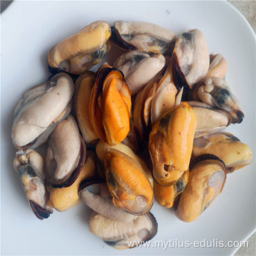 high quality frozen iqf tasty mussel meat